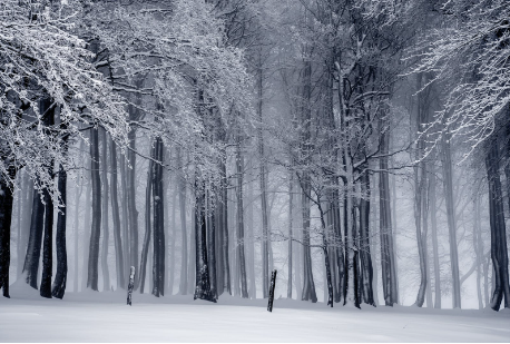 2026世界杯-克罗地亚黄金一代落幕：无缘2026世界杯，一个时代的告别