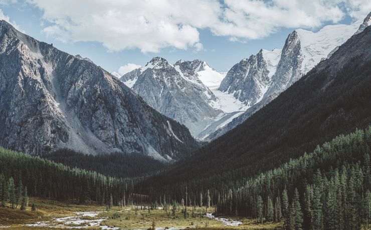 2026世界杯-2026世界杯冠军预言：巴西队将重夺大力神杯